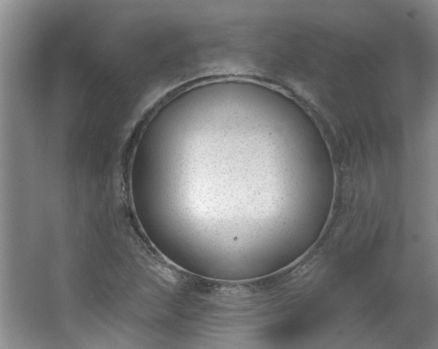 X0000062611215200512281455