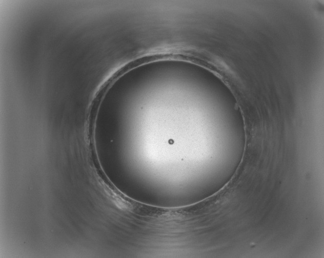 X0000062611216200512281455