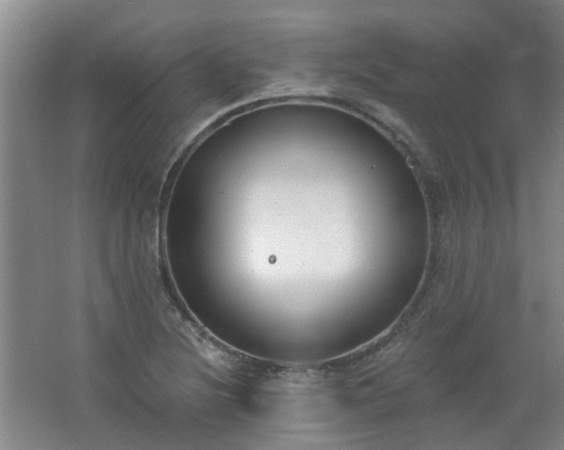 X0000062611220200512281455