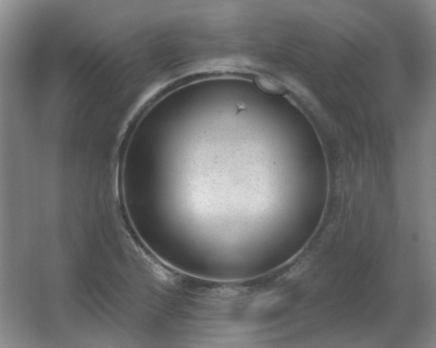 X0000062611224200512281455