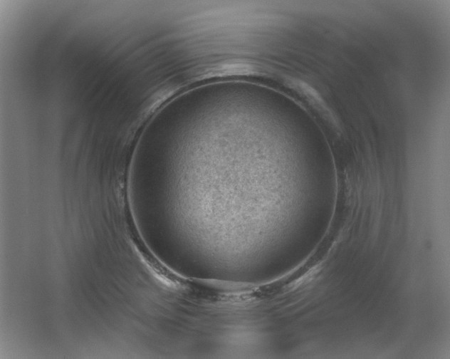 X0000062611225200512281455