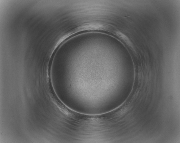 X0000062611226200512281455