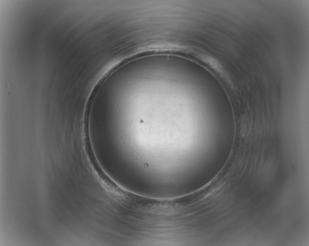 X0000062611229200512281455