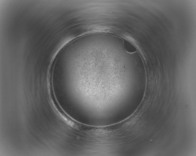 X0000062611235200512281455