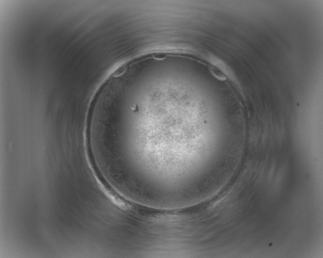 X0000062611237200512281455