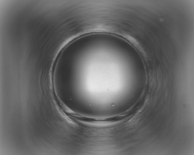 X0000062611238200512281455