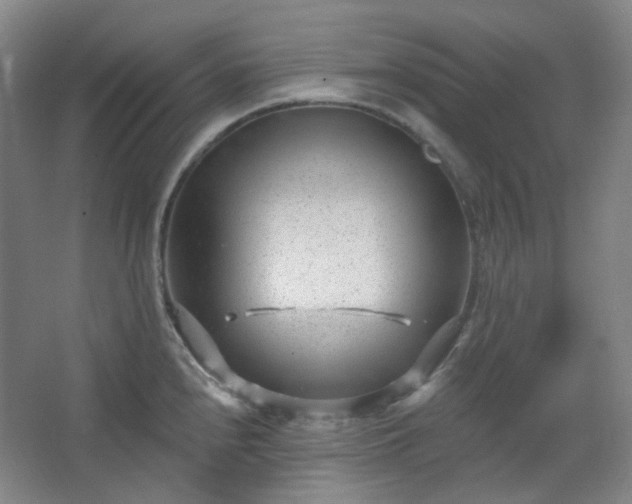 X0000062611240200512281455