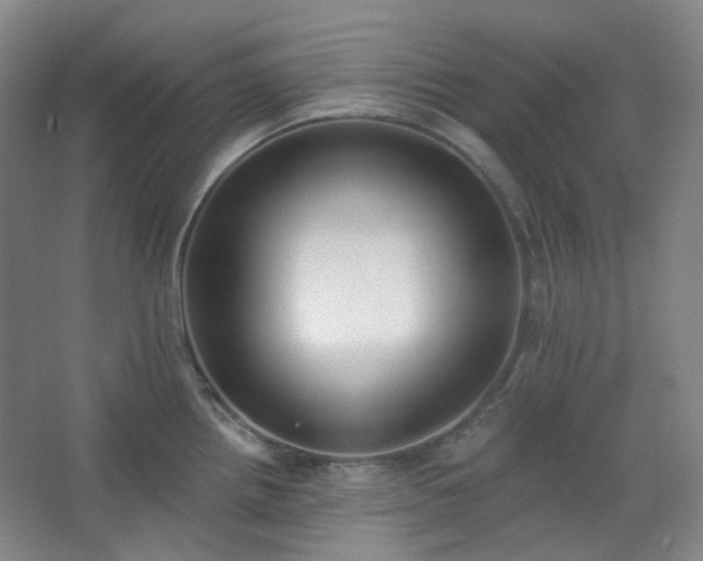 X0000062611242200512281455