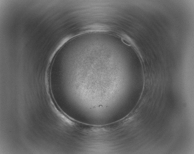 X0000062611243200512281455