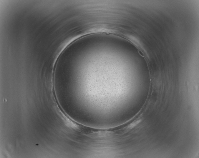 X0000062611244200512281455