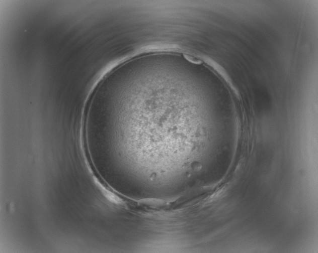 X0000062611245200512281455