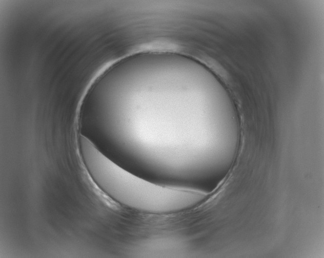 X0000062611248200512281455