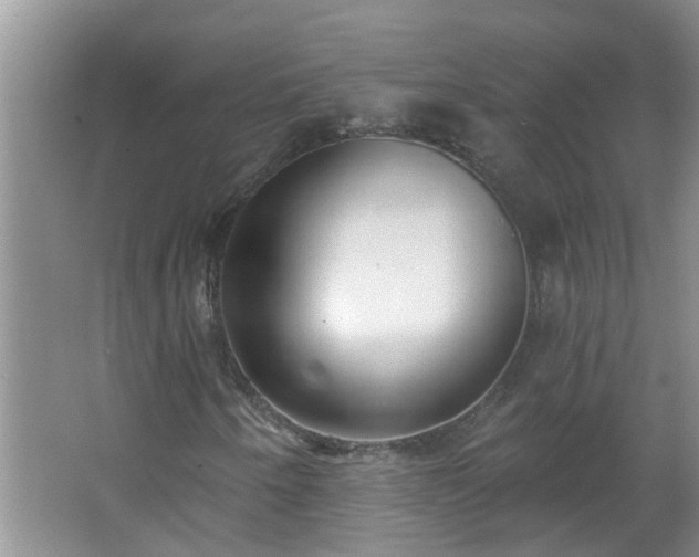 X0000062611250200512281454