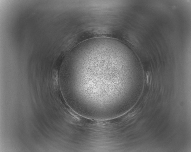 X0000062611251200512281454