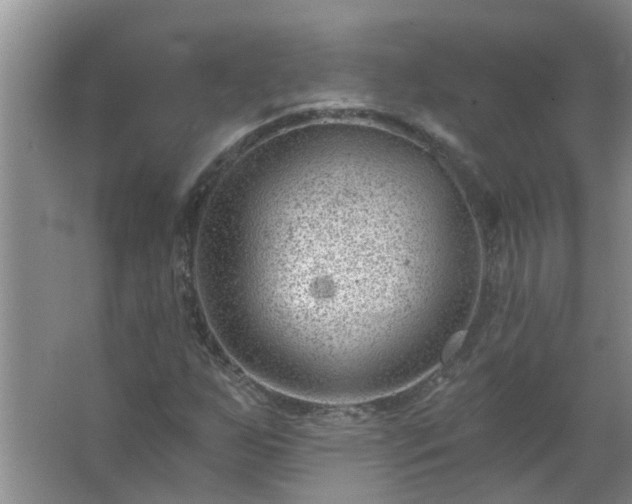 X0000062611255200512281454