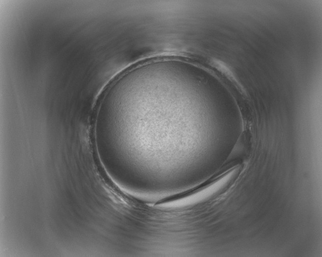 X0000062611260200512281454