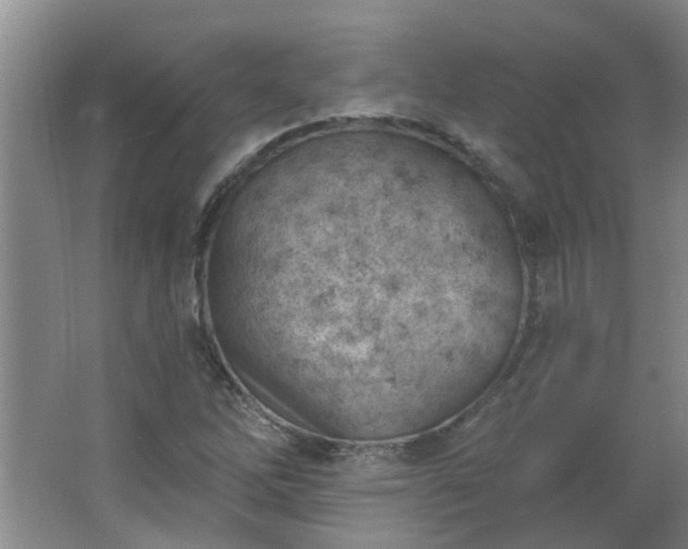 X0000062611262200512281454