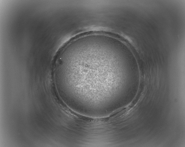 X0000062611263200512281454