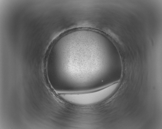 X0000062611264200512281454