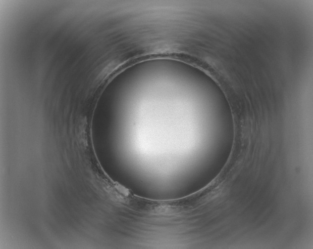 X0000062611265200512281454