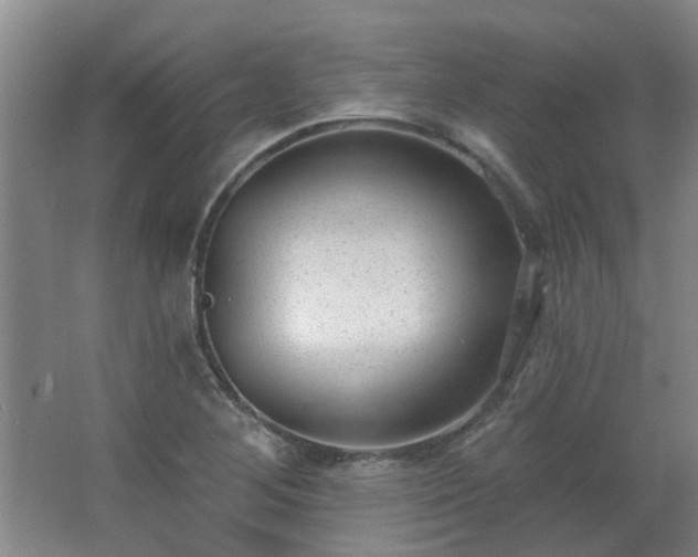 X0000062611268200512281454