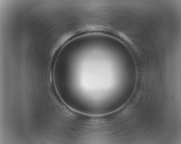 X0000062611269200512281454