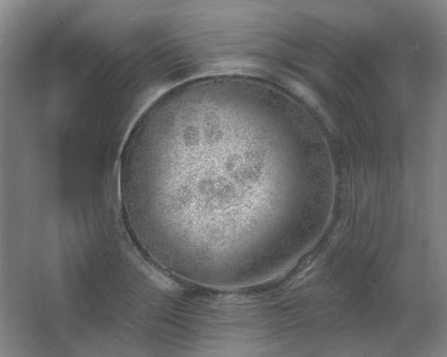 X0000062611275200512281454