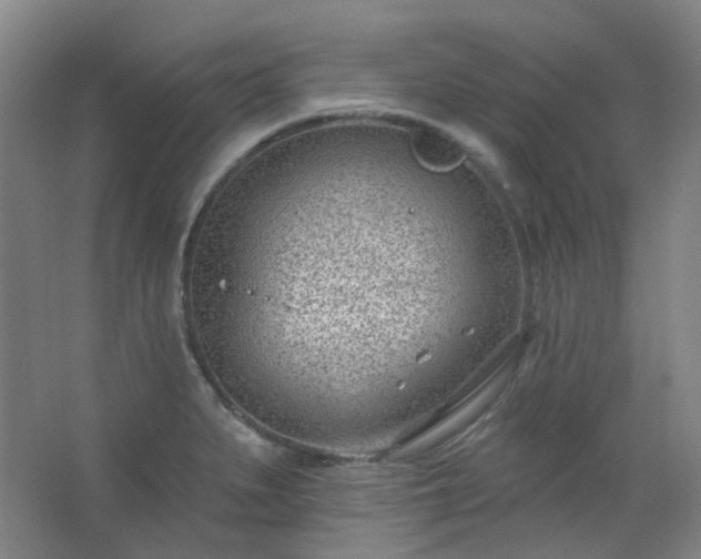 X0000062611279200512281454