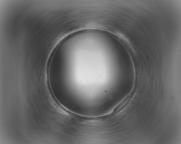 X0000062611280200512281454