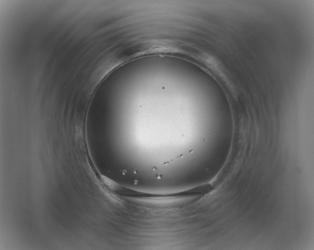 X0000062611281200512281454