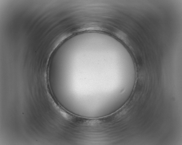 X0000062611282200512281454