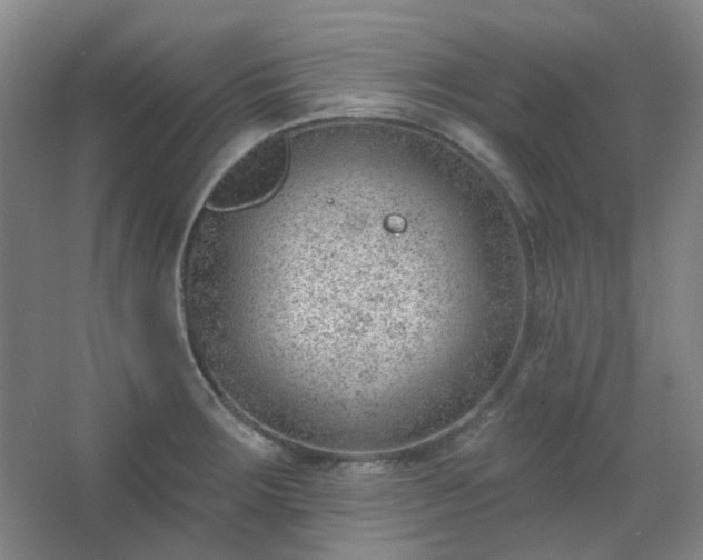 X0000062611283200512281454