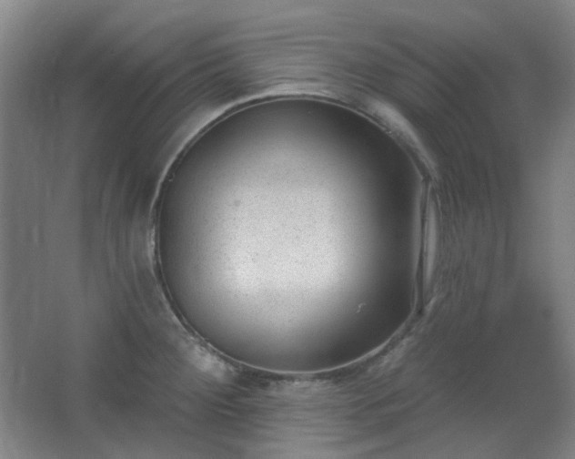 X0000062611284200512281454