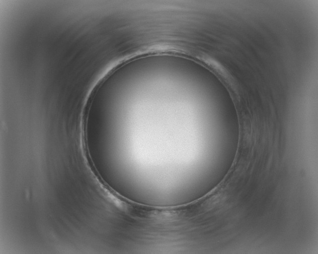 X0000062611286200512281454