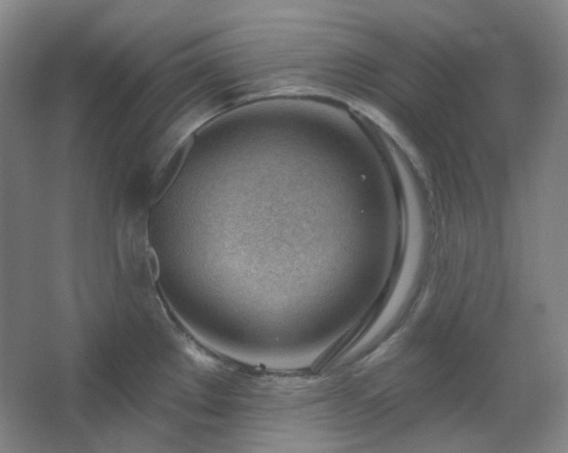 X0000062611289200512281454