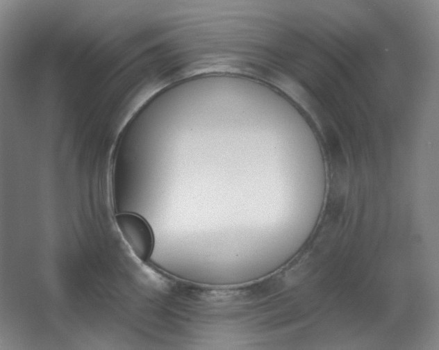 X0000062611290200512281454