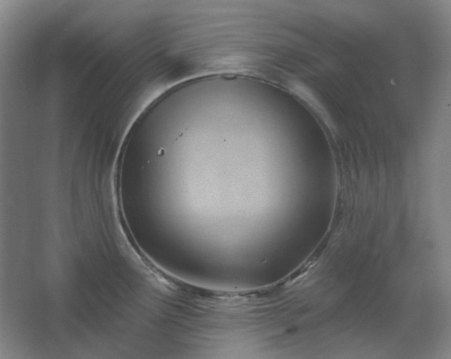 X0000062611291200512281454