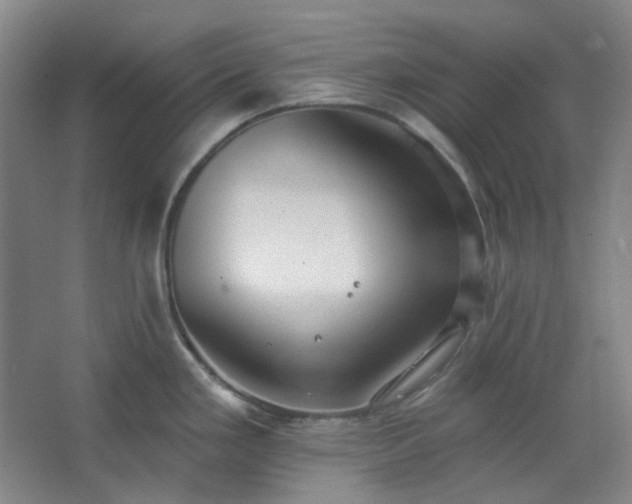 X0000062611293200512281454