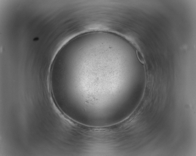 X0000062611295200512281454