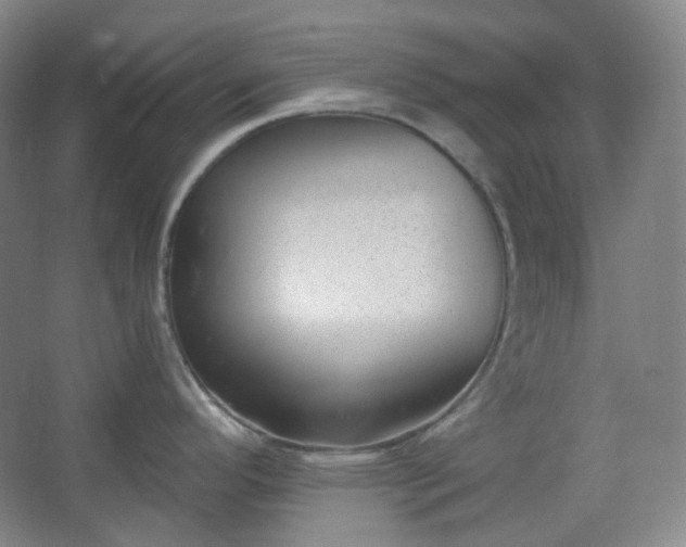 X0000062611296200512281454