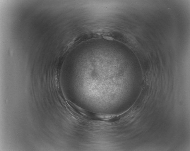 X0000062611298200512281453