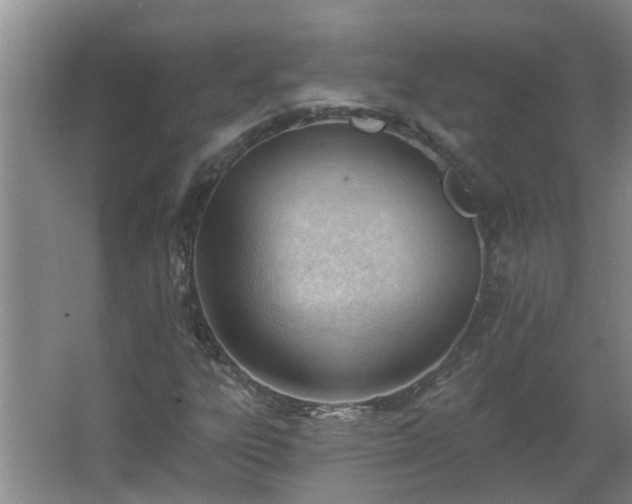 X0000062611303200512281453