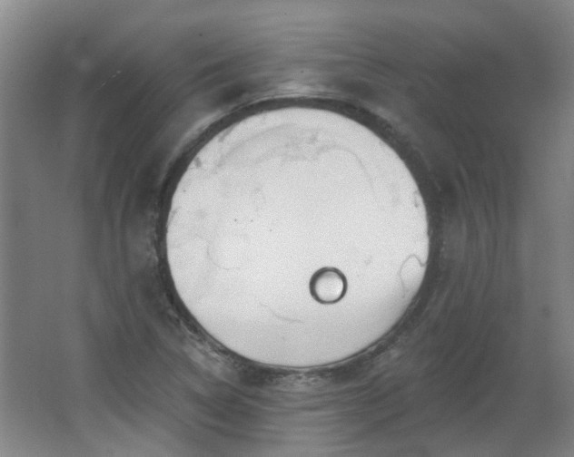 X0000062611314200512281453