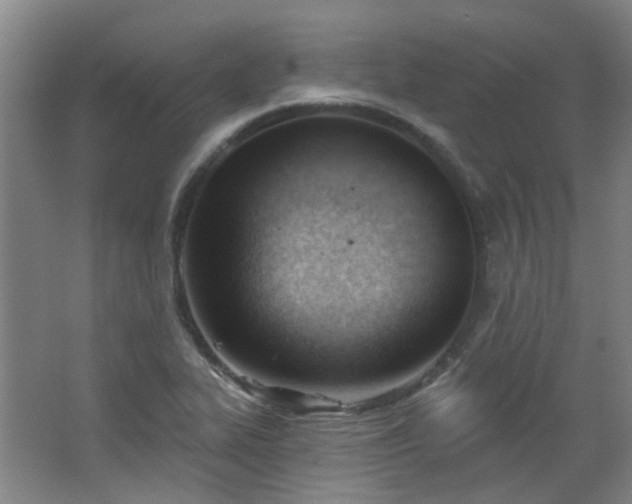 X0000062611319200512281453