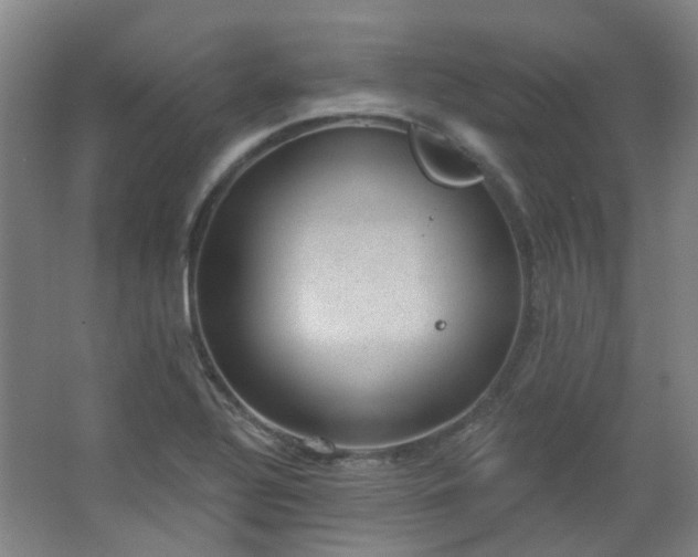 X0000062611320200512281453