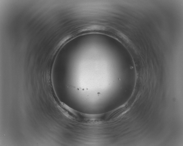 X0000062611321200512281453