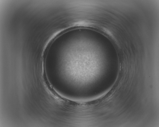 X0000062611323200512281453