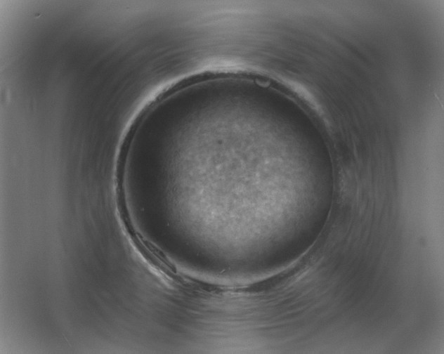 X0000062611327200512281453