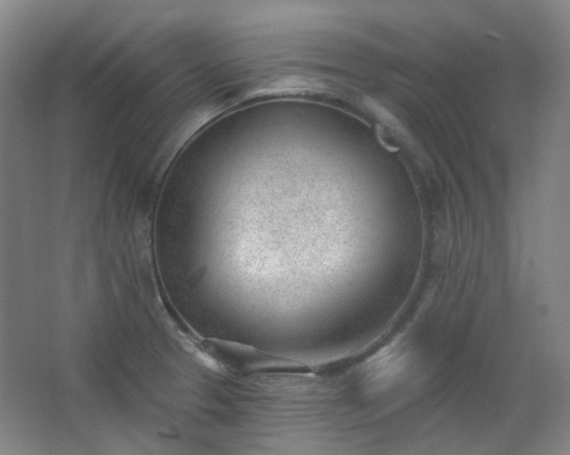 X0000062611329200512281453