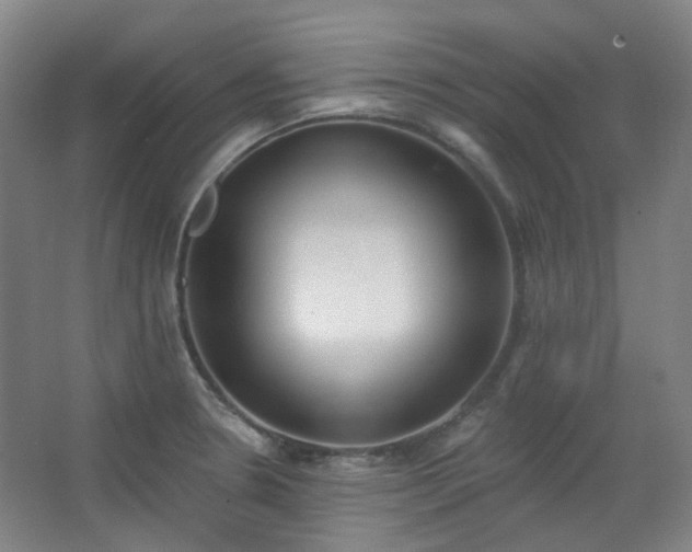 X0000062611330200512281453